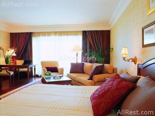 Taj Palace Hotel 6